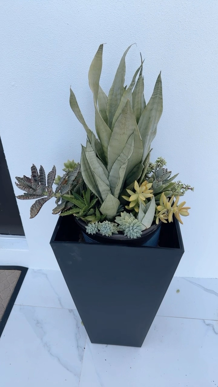 Outdoor decor, home outdoor decor, pot planter, outdoor pot planter

#LTKSeasonal #LTKhome