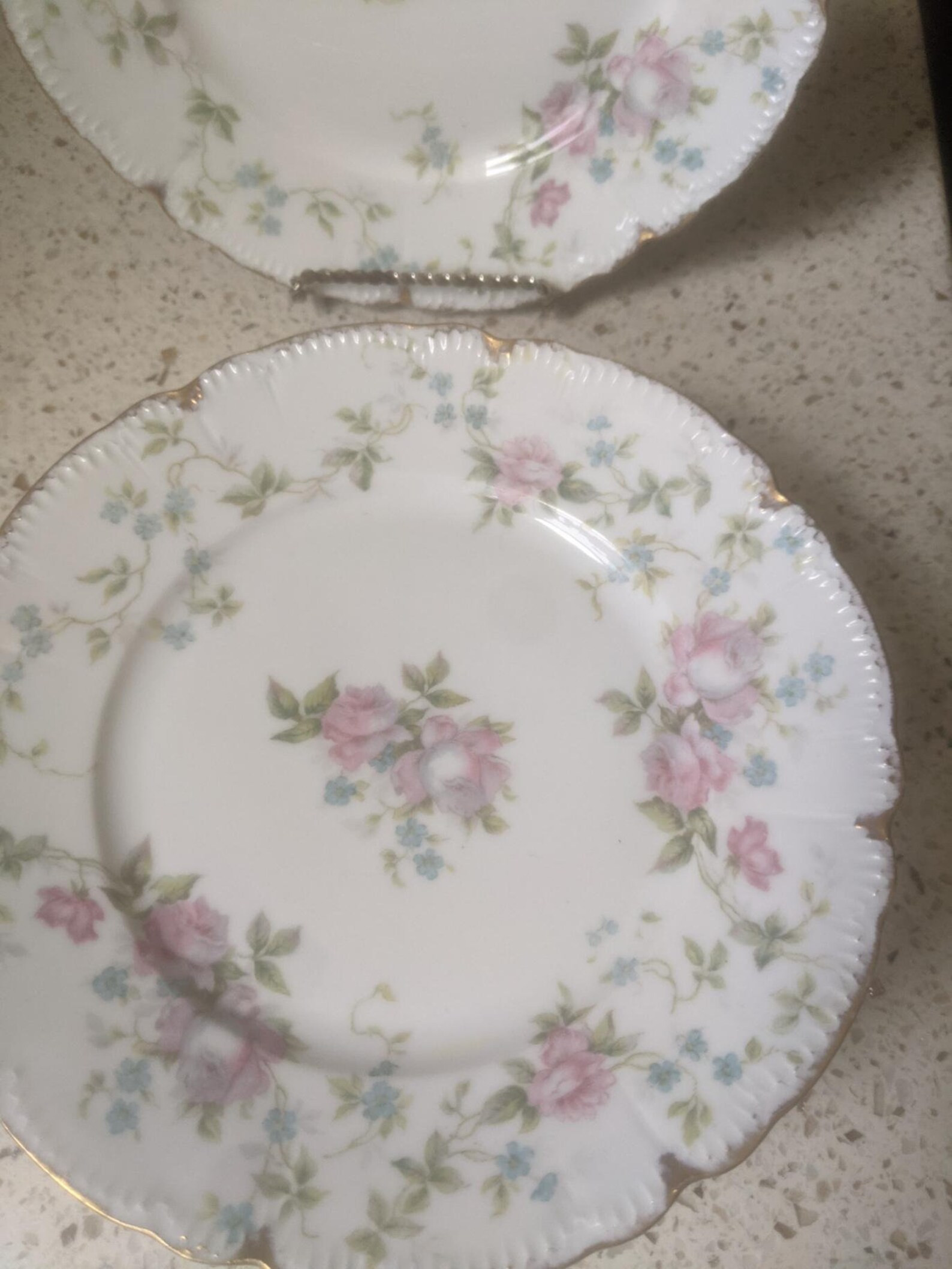 6 Pink Dessert Floral Plates. Bavarian Floral Plate. Scalloped Edge Malmaison Bavaria Dainty Plat... | Etsy (US)