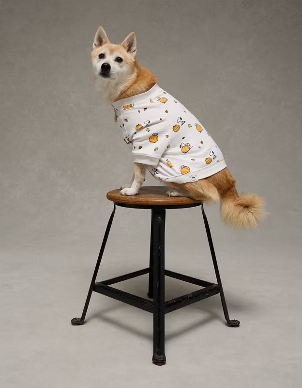 ABO Snoopy Pumpkin Plush Dog PJ Shirt | American Eagle Outfitters (US & CA)