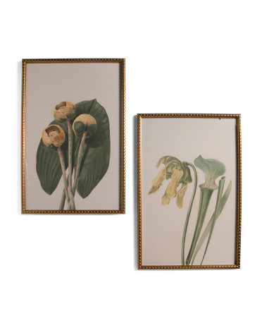 Set Of 2 30x40 Flowers Wall Art | TJ Maxx