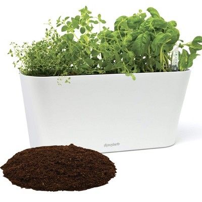 Window Garden Aquaphoric Herb Garden Tub Self Watering Planter Box with 6 Quarts Fiber Soil | Target