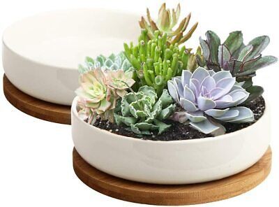 Succulent Pots, 6 Inch White Ceramic Flower Planter With Bamboo Tray, Pack Of 2 | eBay US