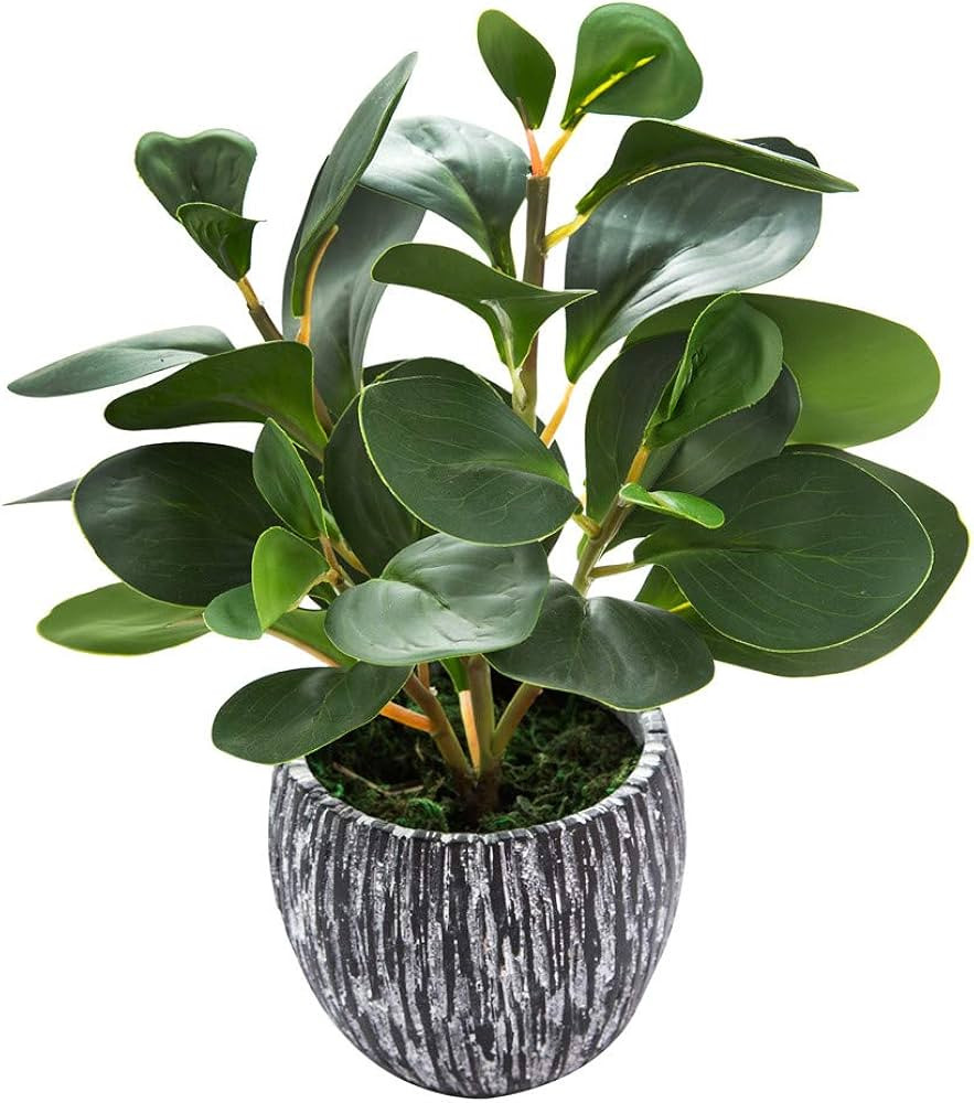AlphaAcc Artificial Plants Real Looking and Touching Fake Plant Evergreen Plastic Fiddle Leaf Fig... | Amazon (US)