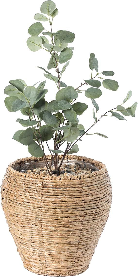 Woven Round Flower Pot Planter Basket with Leak-Proof Plastic Lining - Medium | Amazon (US)
