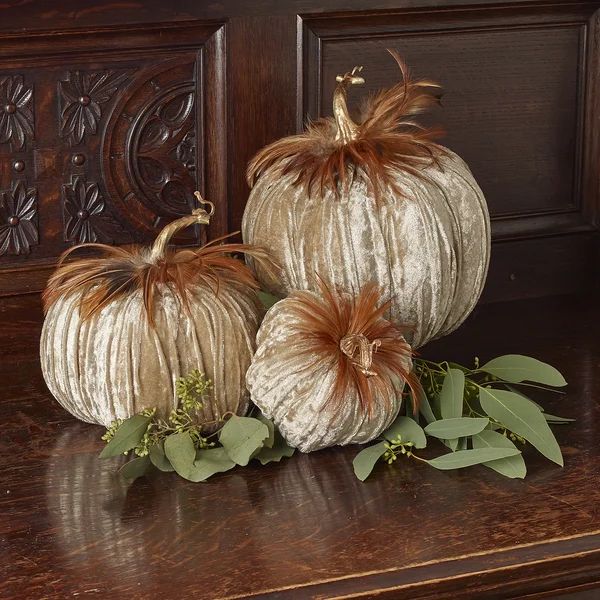 Velvet Champagne Feathered Pumpkins Set Of 3 | Wayfair North America