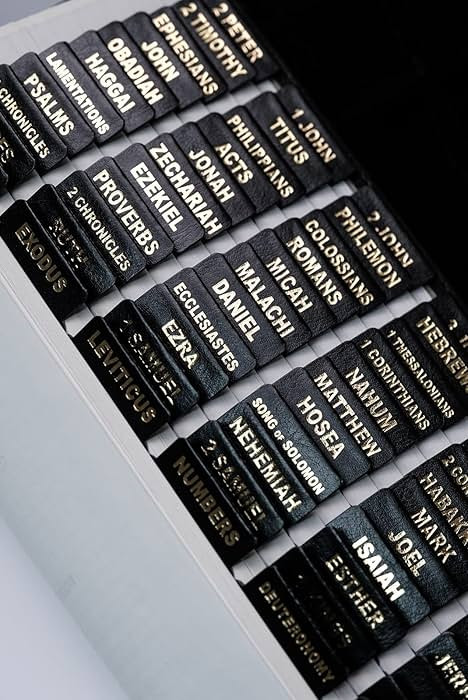 UPAFEXXI- Leather Bible tabs, Bible Tabs for Women and Men, Bible Tabs for Study Bible, 80 Bible ... | Amazon (US)