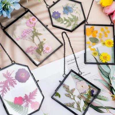 5 Pcs Glass Frame For DIY Pressed Flowers Art Brass Hanging Photo Picture Frame With Chain And 6 Styles Pressed Flowers Collage Glass Craft Frames For | Wayfair North America