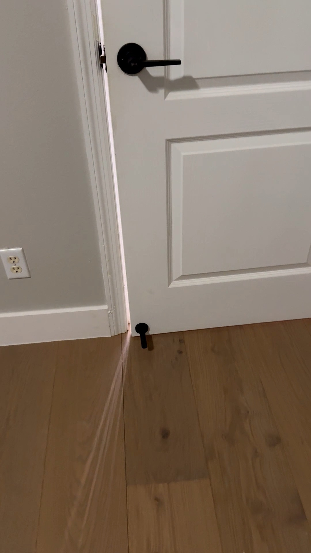 Easy home decor updates from Amazon that make your house look great!  Nightlight, doorstop, modern farmhouse decor 

#LTKdayinmylife #LTKstorytime #LTKHome