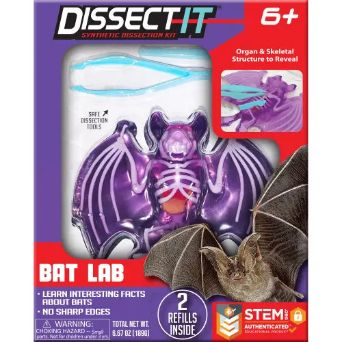 Dissect-It Dissect It Bat Lab Synthetic Dissection Kit in Multicolored at Nordstrom | Nordstrom