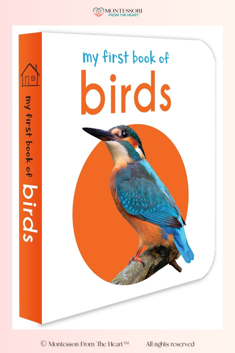 My First Book of Birds 

#LTKKids #LTKHome #LTKstorytime