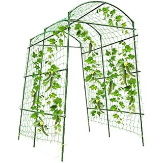 Gardener’s Supply Company Extra Tall Garden Arch Arbor 80in Titan Squash Tunnel | Lightweight M... | Amazon (US)