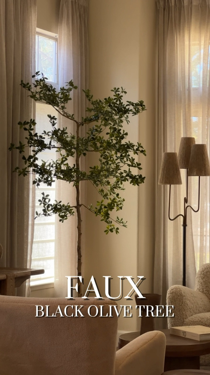 the most perfect faux black olive tree 😍

#LTKHome