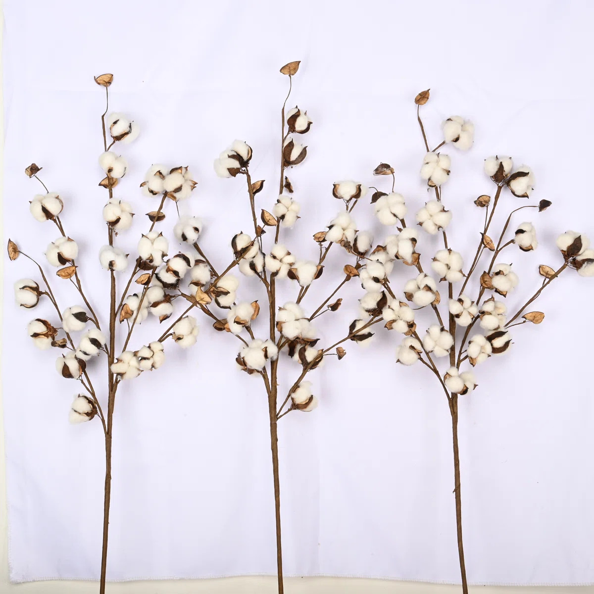 Farmhouse Cotton Arrangement Rustic Long Stems (Set of 3) | Wayfair North America
