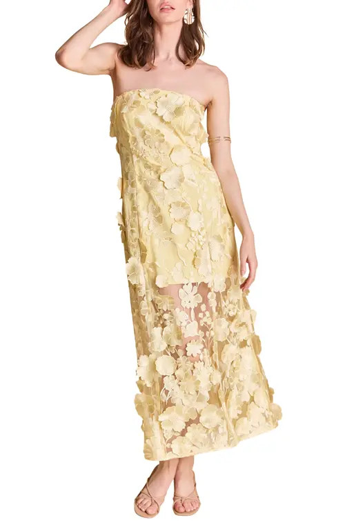 Endless Rose Floral Embroidery Strapless Dress in Butter at Nordstrom, Size Large | Nordstrom