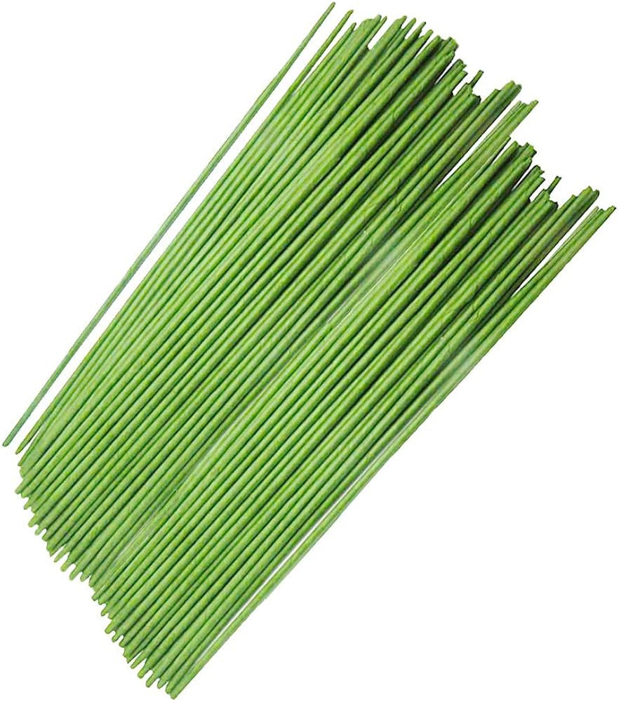 100PCS 18Ga Floral Stem Wires,Green Crafting Floral Stem Wire for DIY Crafts and Flower Arrangeme... | Amazon (US)