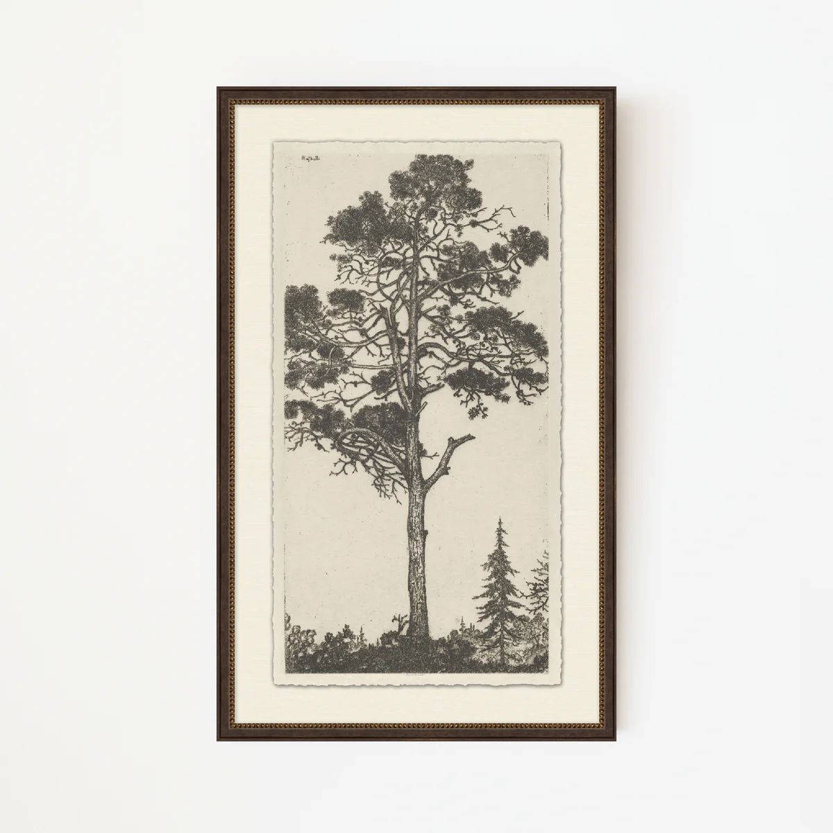 Tree Tops 1 | Stoffer Home