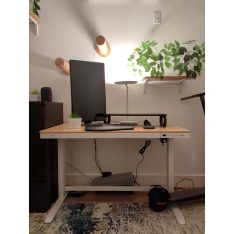 FlexiSpot 48 Inch Bamboo Texture Top COMHAR Home Office Desk Height Adjustable Standing Computer ... | Bed Bath & Beyond