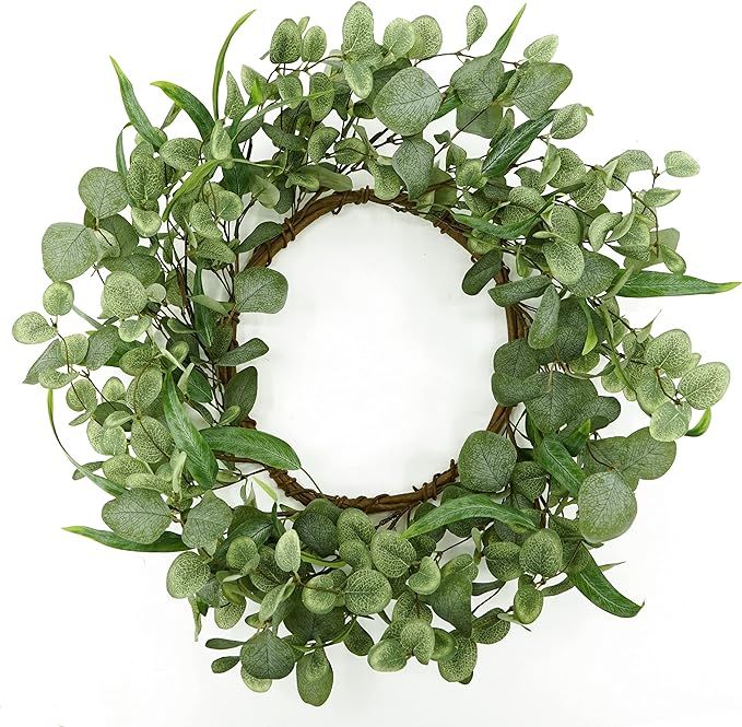 20 '' Green Eucalyptus Wreath for Front Door Artificial Spring Summer Wreath with Large Willow Le... | Amazon (US)