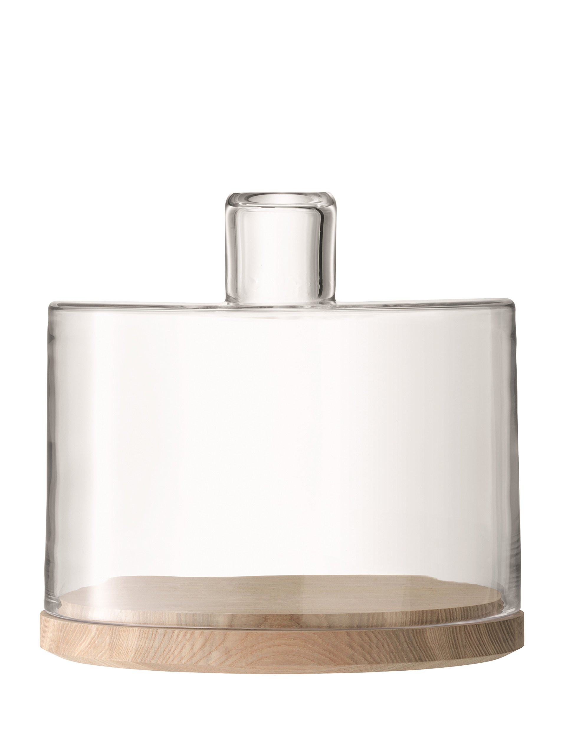 LSA LW07 Lotta Cake/Cheese Dome & Ash Base Ø9.75in/Ø10in H9.75in Clear | Amazon (US)