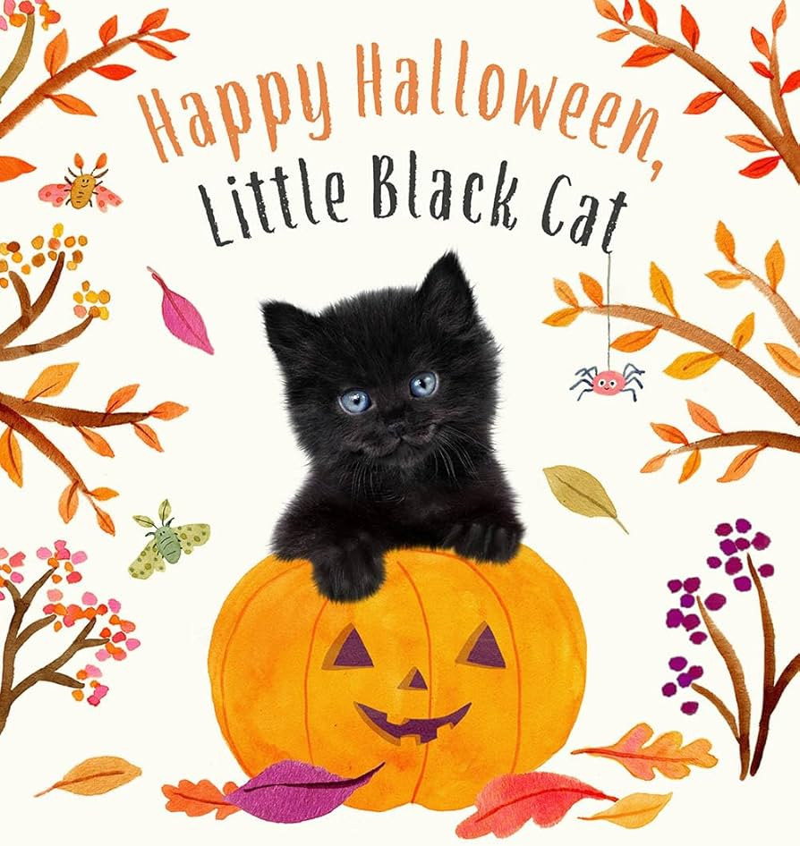 Happy Halloween, Little Black Cat: A Board Book (Baby Animal Tales) | Amazon (US)