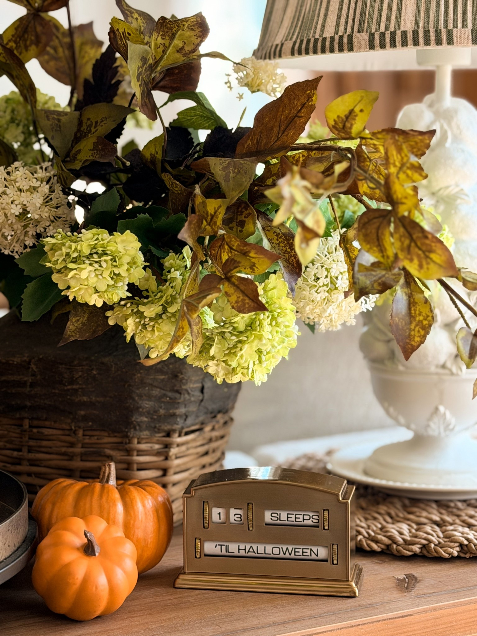 13 days until Halloween! 🎃 

#LTKSeasonal #LTKHome