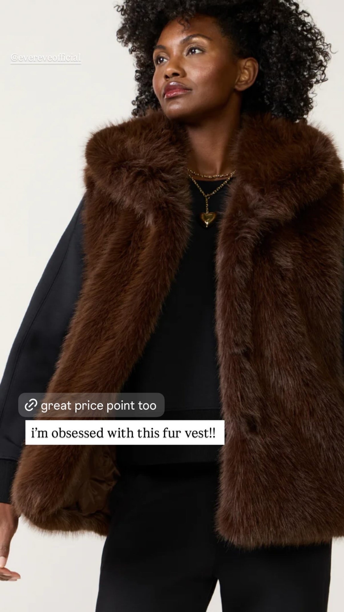 Such a gorgeous faux fur vest love the chocolate brine color! 

#LTKGiftGuide #LTKHoliday #LTKWorkwear