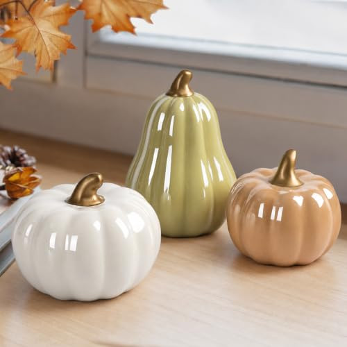 AELS Modern Ceramic Pumpkins Fall Decor Indoor, Cozy Farmhouse Tabletop Decorations, Artificial Pumpkins Decor for Fall Table Runner, Office, Holiday Party Home, Set of 3 Neutral Tones | Amazon (US)