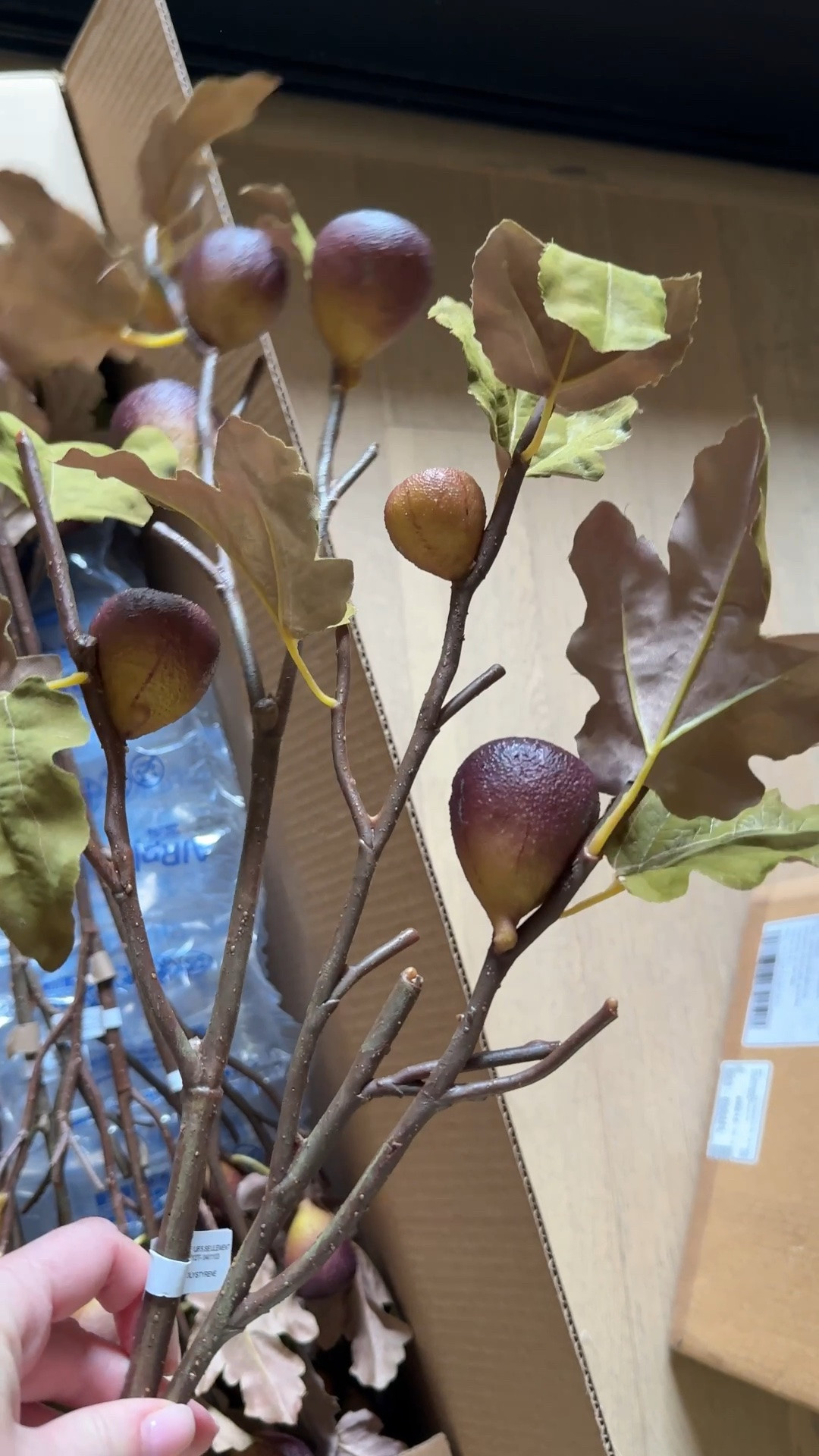 Faux stems, fig leaf, fall
