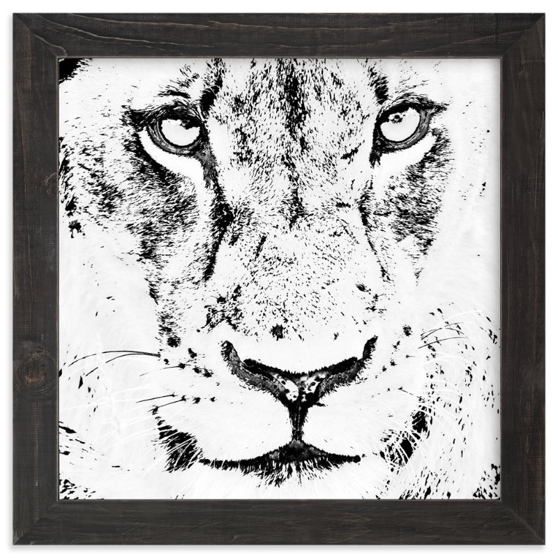 "mr LION" - Photography Art Print by Gail Schechter. | Minted