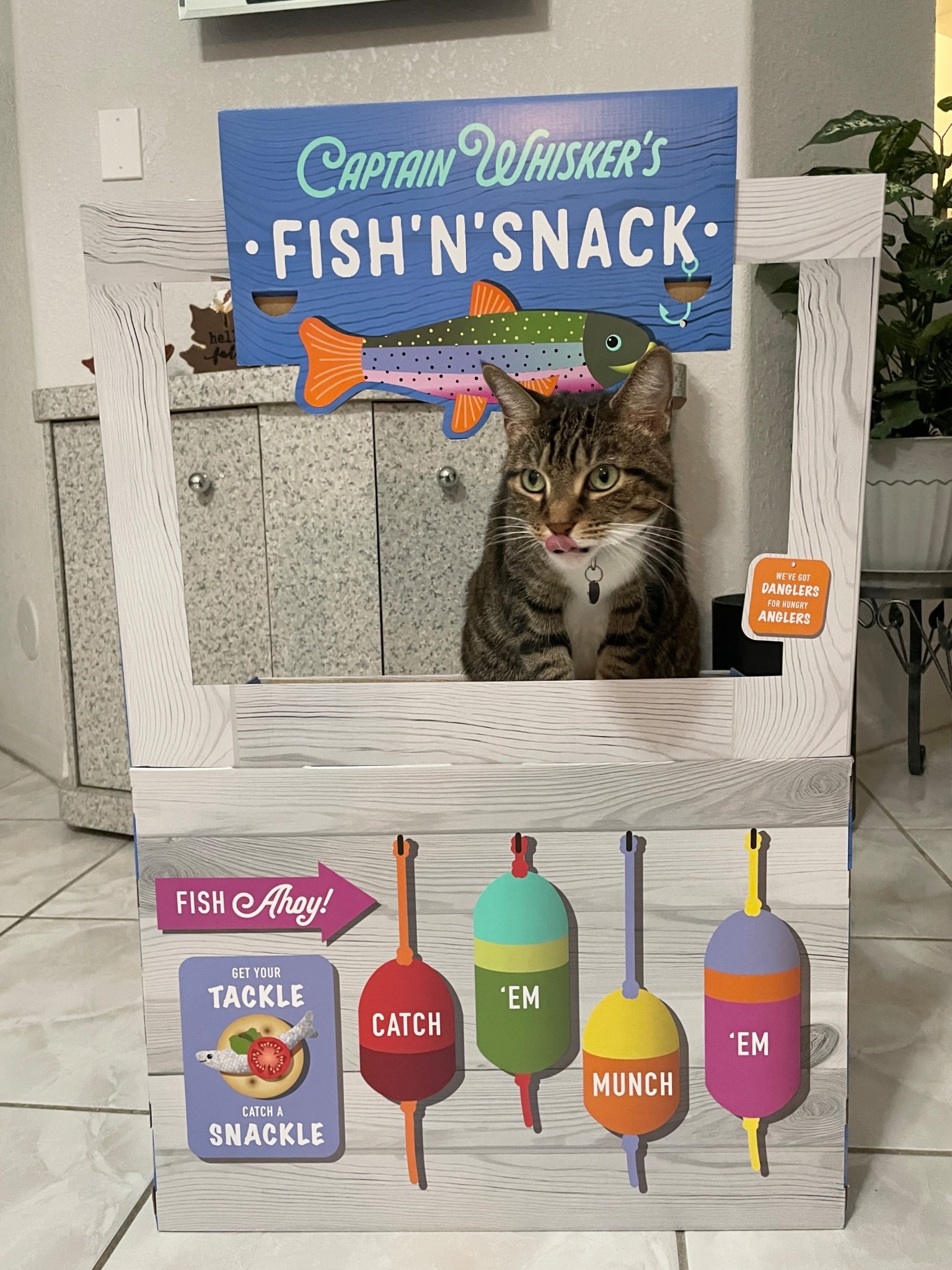 Cat scratcher from Target! 😻

cat must haves, cat scratcher, cat finds, cat toys, pet finds, ltk pets, cat cardboard house, target finds


#LTKFindsUnder50 #LTKPets #LTKHome