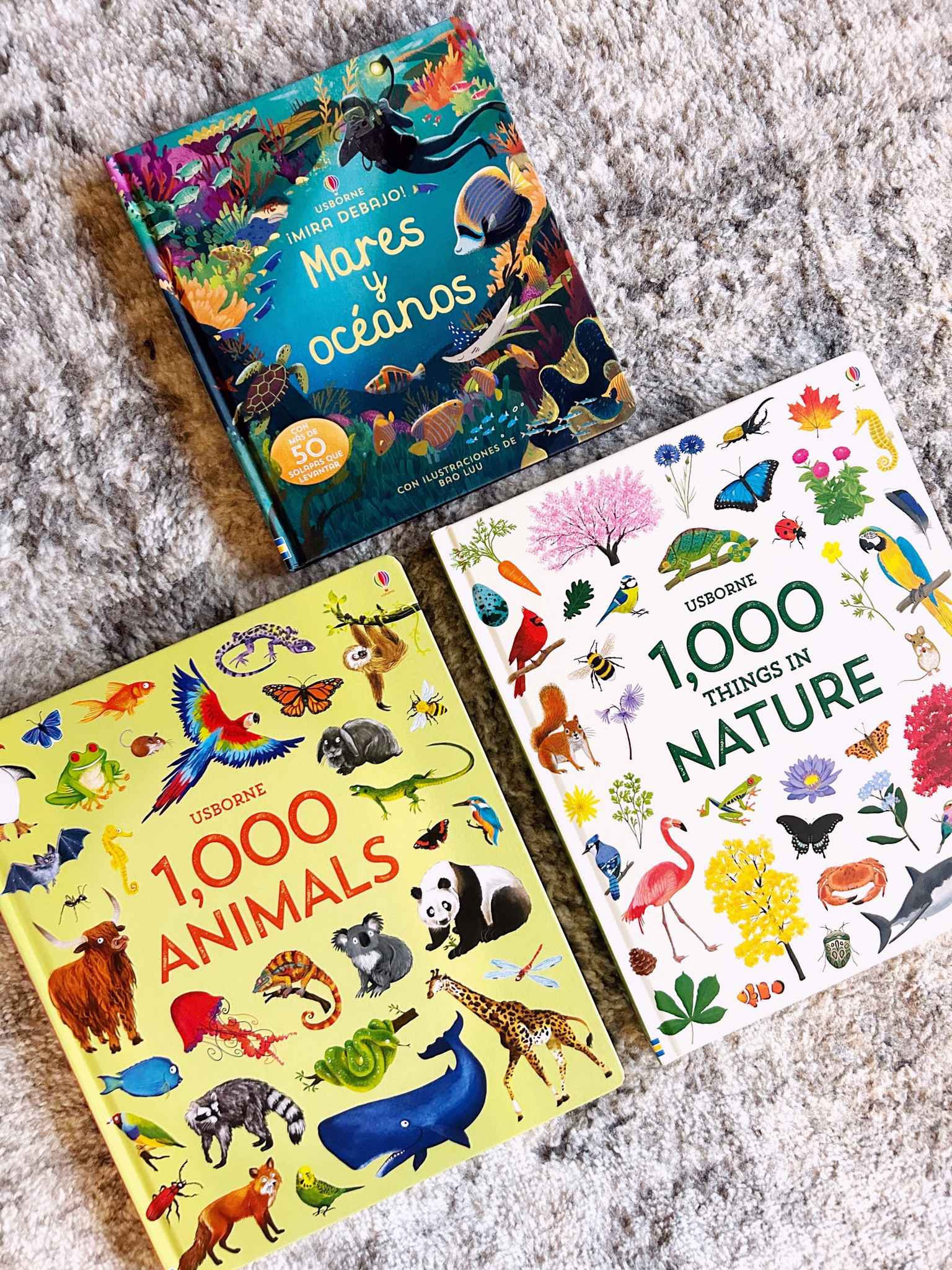 Usborne Book Haul // Paperpie

#LTKGiftGuide #LTKkids #LTKhome