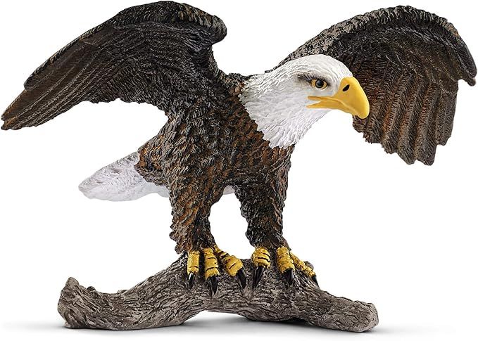 Schleich Wild Life, North American Birds, Wild Animal Toys for Kids, Bald Eagle Toy Figure, Ages ... | Amazon (US)