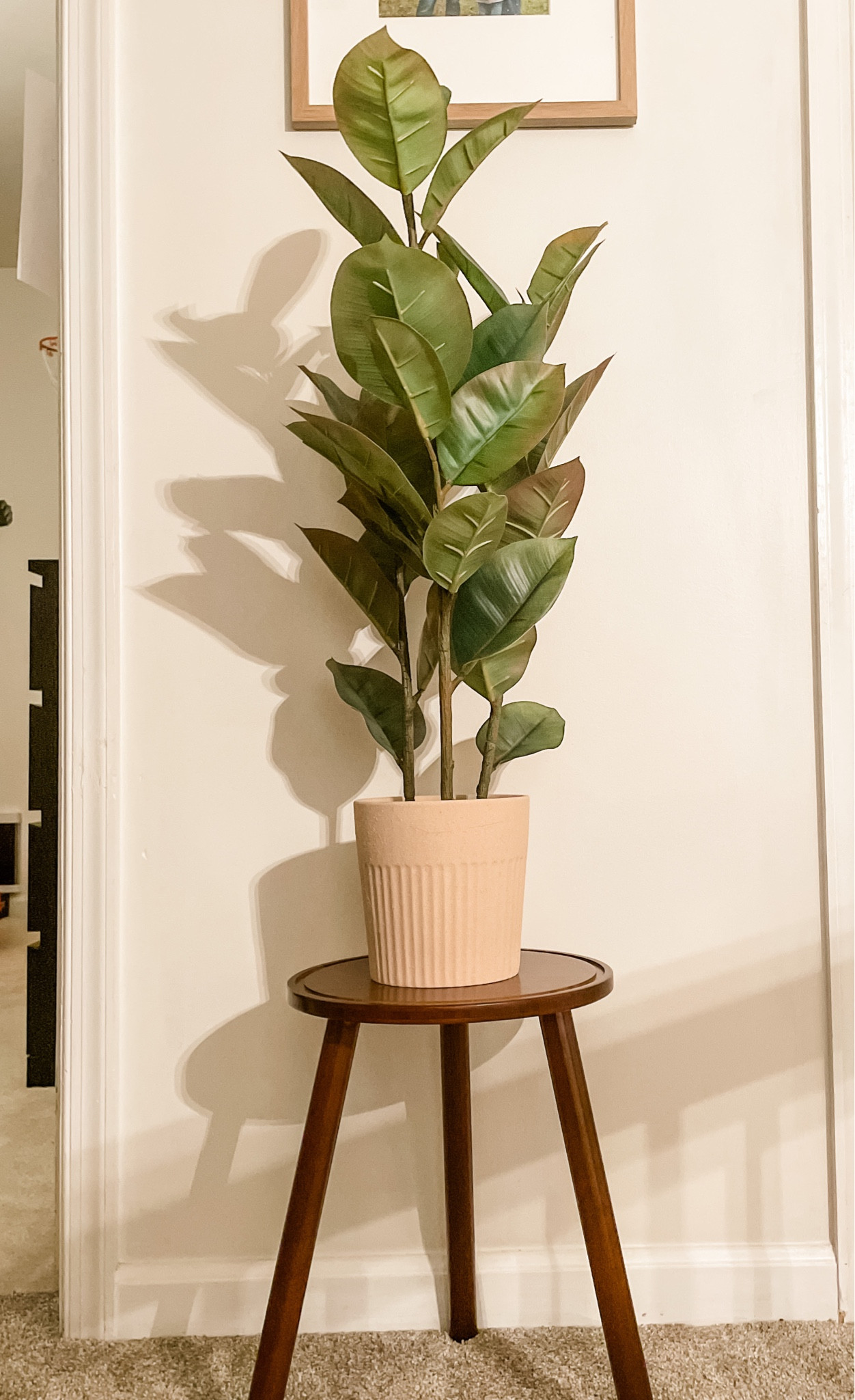 Just call me the fake plant lady🪴
This plant stand comes as a set & the quality is excellent. On sale right now!

#LTKhome #LTKsalealert