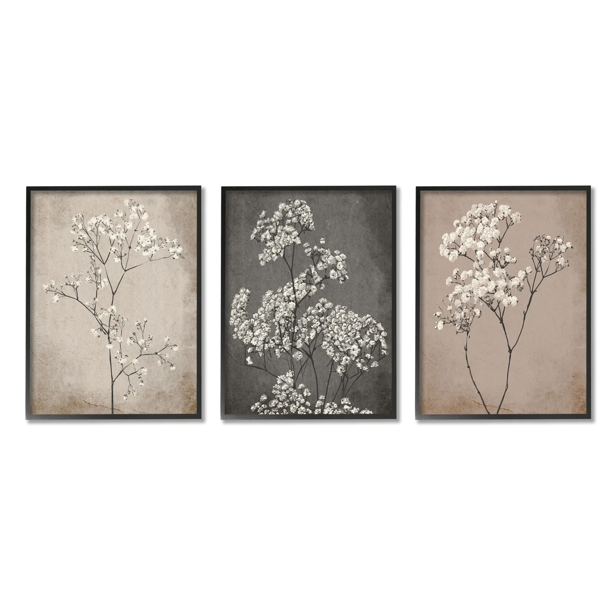 Stupell Industries Botanical Baby's Breath Herbs Botanical & Floral Painting Black Framed Art Pri... | Walmart (US)