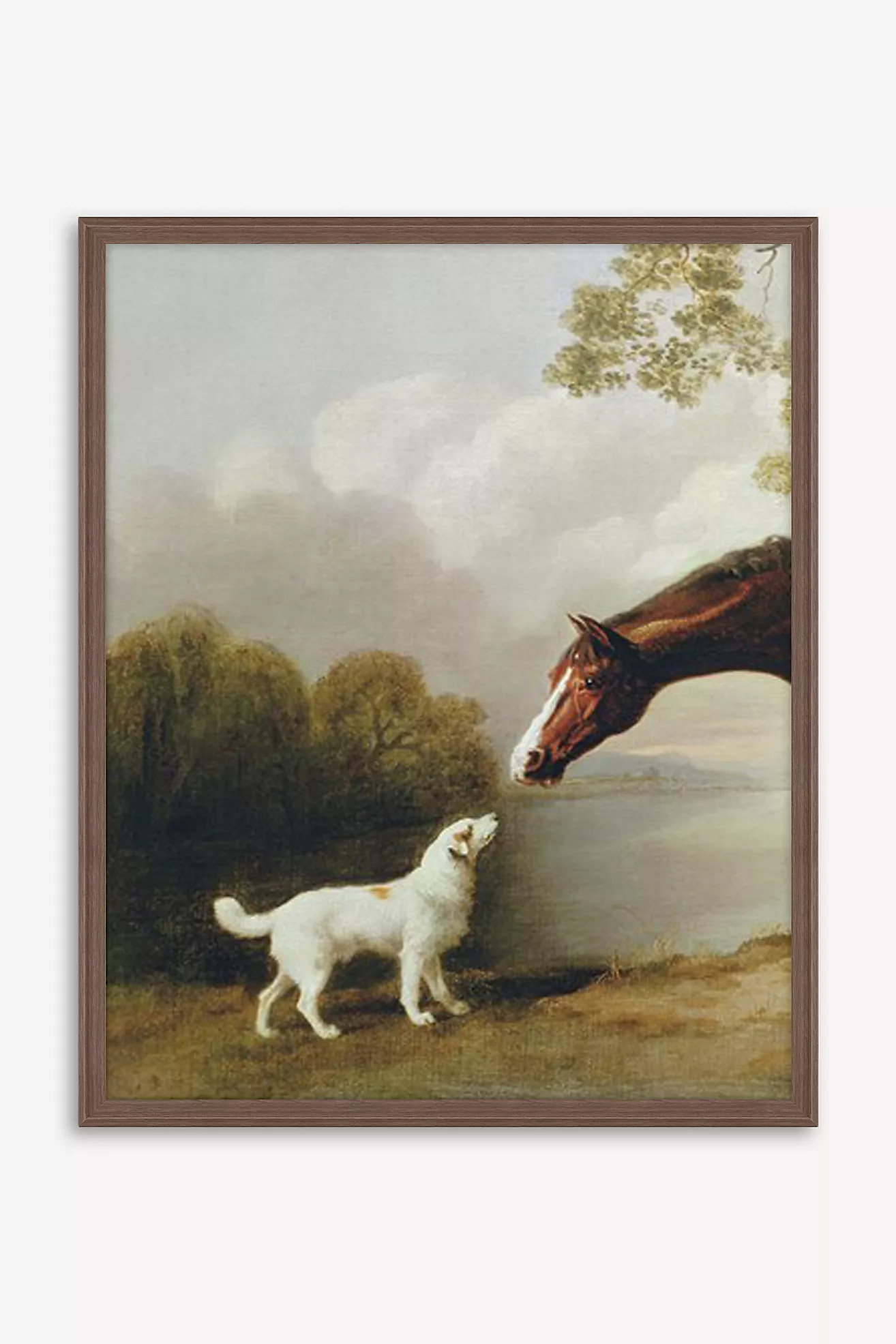 Bay Horse and White Dog - Focus Wall Art | Anthropologie (US)