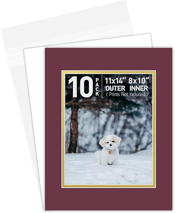 Golden State Art, Double Picture Mats with White Core Bevel Cut for 8X10 Photo Pictures (Mats, Ba... | Amazon (US)