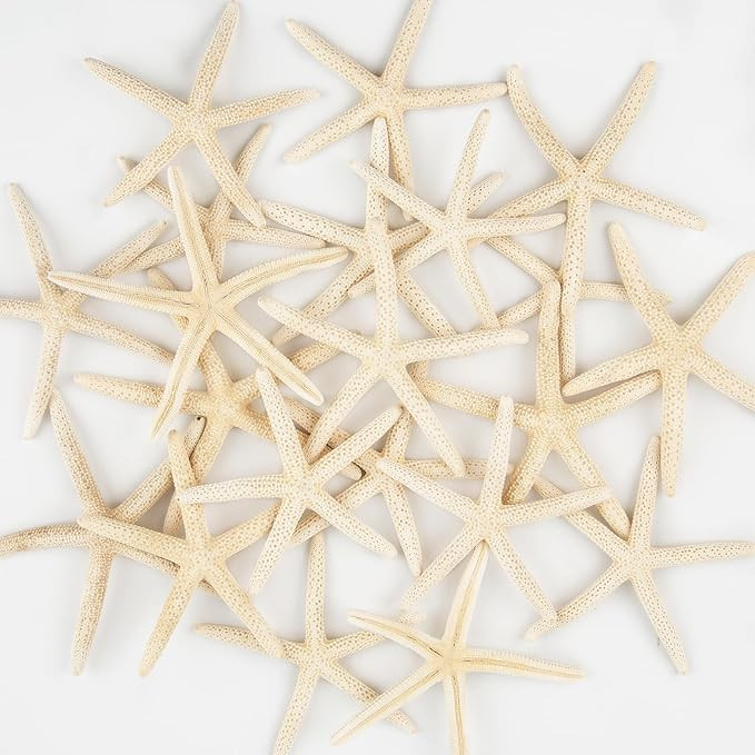20 PCS Small Starfish for Crafts 2" to 4" Natural Starfish Decor Bulk, for Wedding Beach Theme De... | Amazon (US)