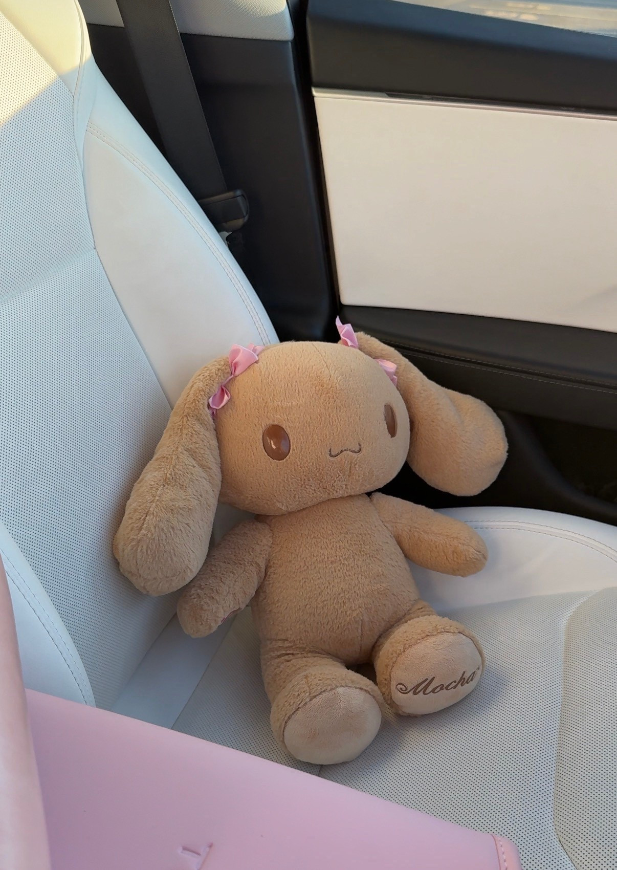 My car is officially the cutest on the block with this adorable Mocha Plush and pink accessories!  

 #LTKdayinmylife #LTKvlog #LTKTravel