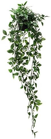 IKEA.. 403.495.31 Fejka Artificial Potted Plant, Indoor/Outdoor, Hanging | Amazon (US)