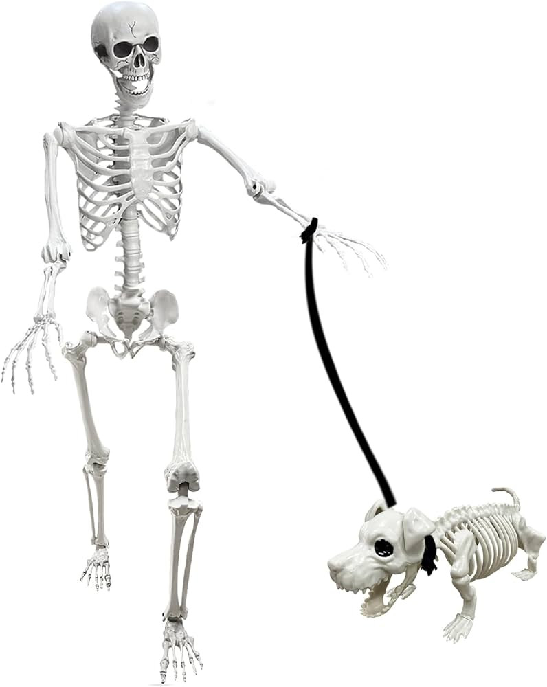 Lodou 5.4Ft Posable Life Size Human Skeletons,Adult Skeletons with Dog Skeleton,Plastic Human Bon... | Amazon (US)