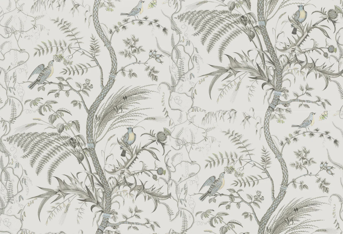 Brunschwig & Fils Bird And Thistle Gray Wallpaper | DecoratorsBest | DecoratorsBest