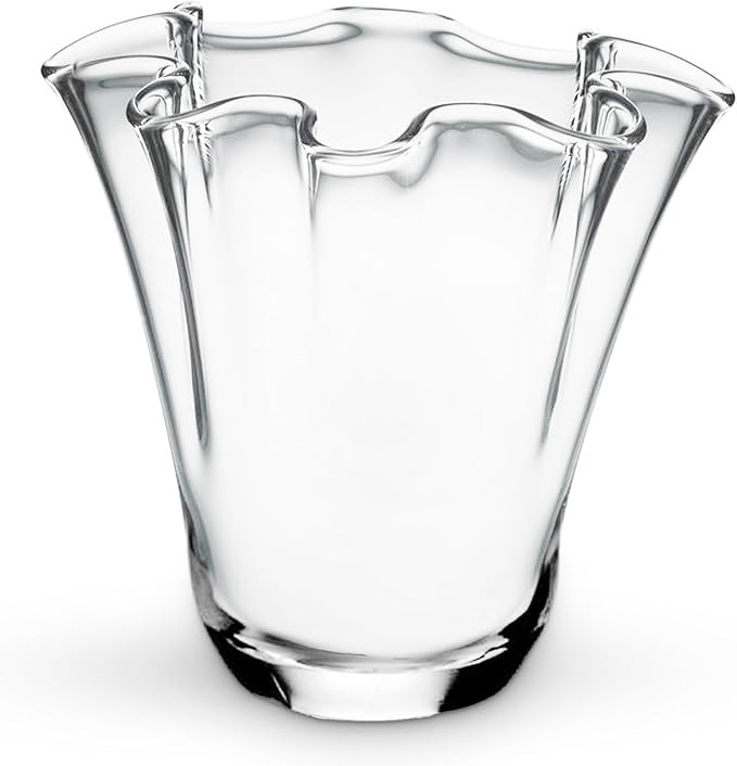 CYS EXCEL Clear Glass 3D Flower with Ruffle Rim Wavy Bouquet Trumpet Vase Unique Modern Home Déc... | Amazon (US)