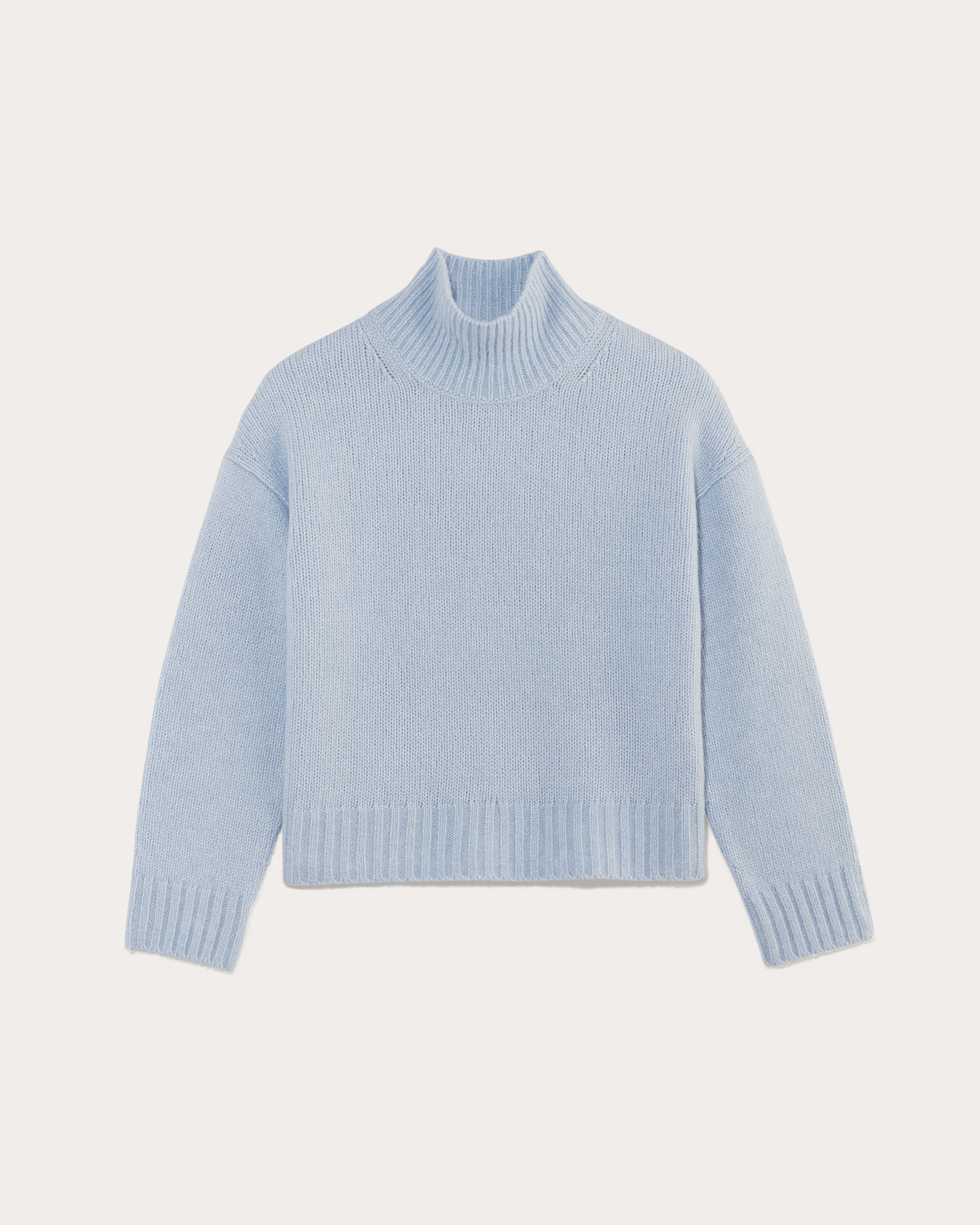The Cloud Oversized Turtleneck | Everlane