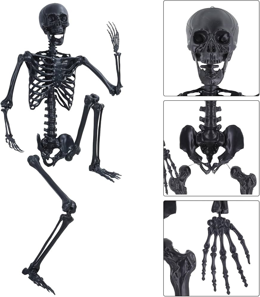5.4Ft/165cm Halloween Skeleton, Life Size Full Body Realistic Human Bones, with Posable Joints fo... | Amazon (US)