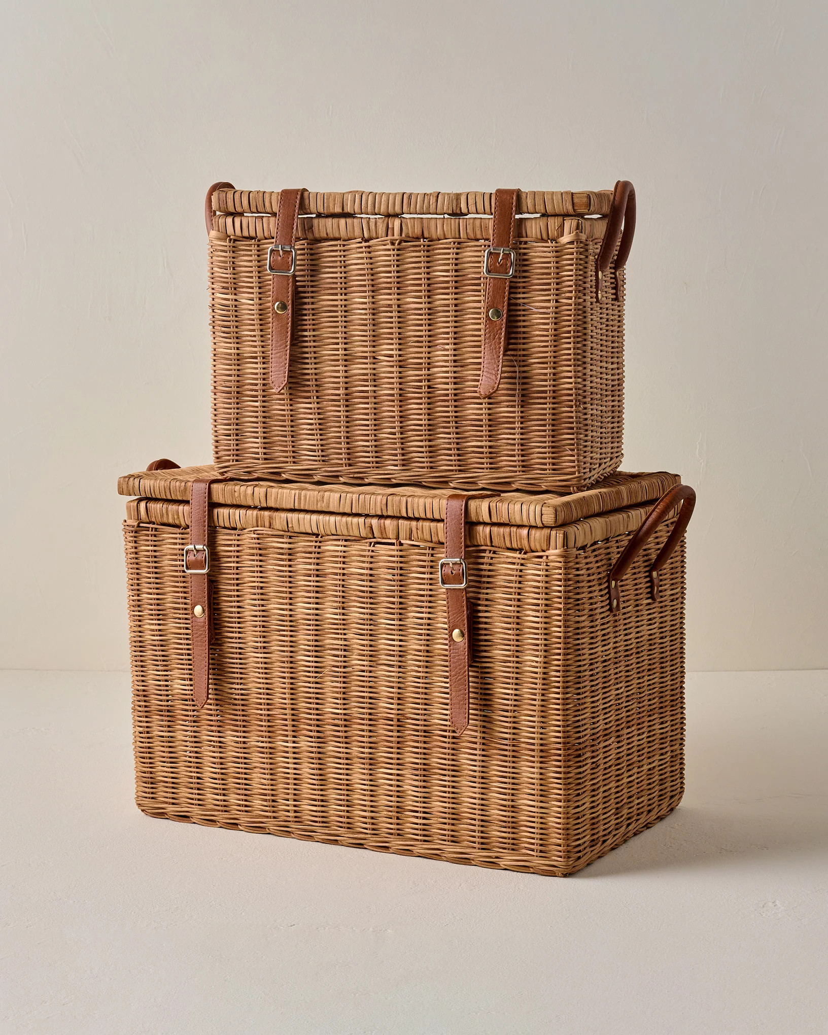 Reid Woven Storage Trunk with Leather Handles | Magnolia