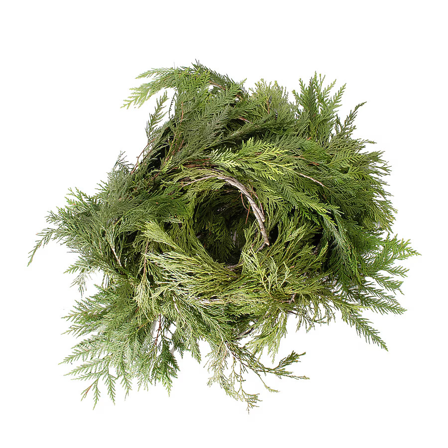National Plant Network 20-ft Real Cedar Indoor/Outdoor Christmas Garland | Lowe's
