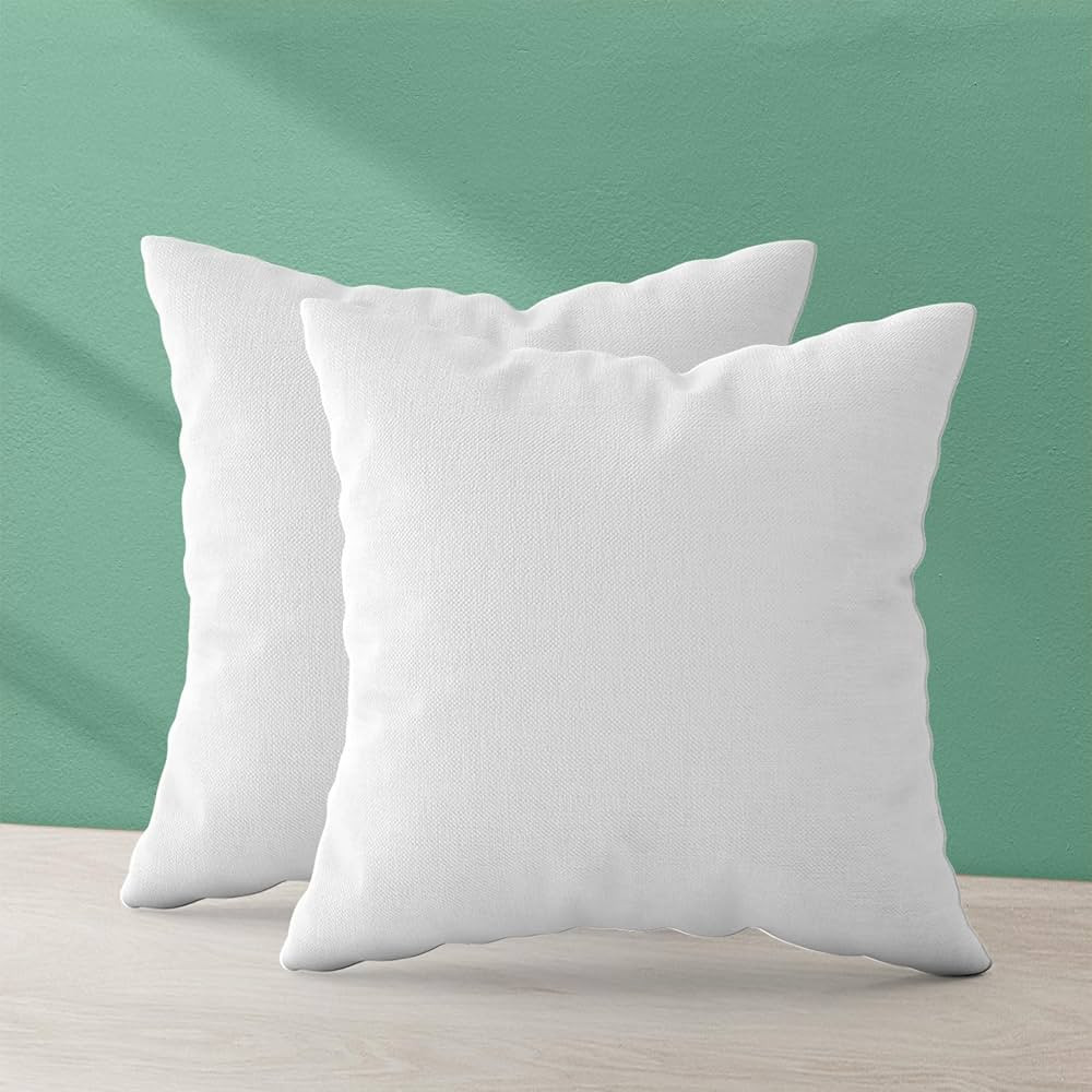 Trendy Home 20x20 Throw Pillow Insert (Set of 2, White) Bed and Couch Pillows Stuffer Hypoallerge... | Amazon (US)