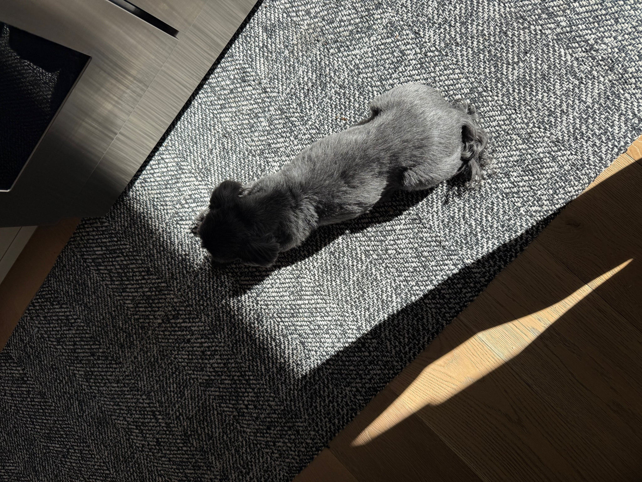 This rug looks so much more expensive than it actually is! It comes in a few different color variations. I use pads in the corners and it lays perfectly.

#LTKHome #LTKFindsUnder100