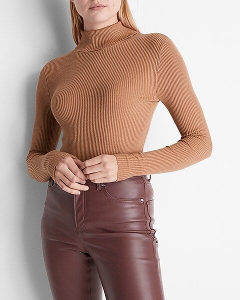 Ribbed Fitted Turtleneck Sweater | Express