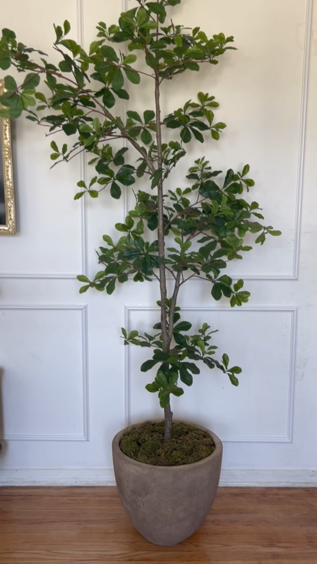 DIY Organic Planter Pot - all the supplies you will need to make over not just planters but any vase or lamp you want to give that organic texture to! 

#LTKHome